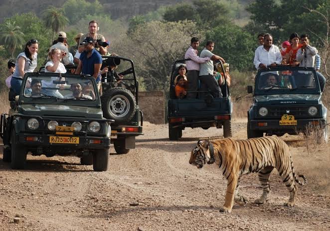 Jeep Safari
